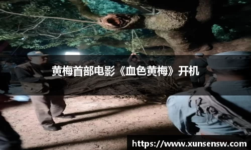 东升国际：黄梅首部电影《血色黄梅》开机